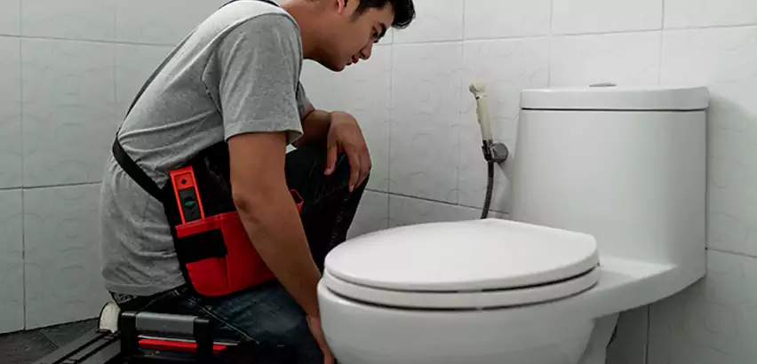 Toilet Repair in DeSoto